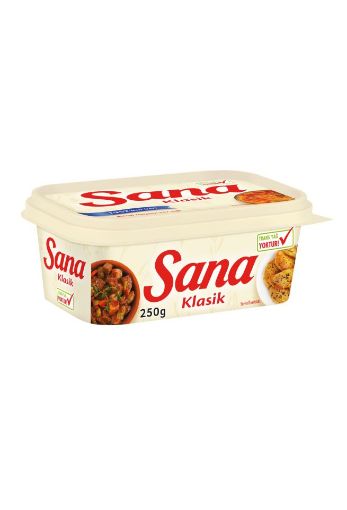 SANA KASE KLASİK 250 GR 32'Lİ resmi